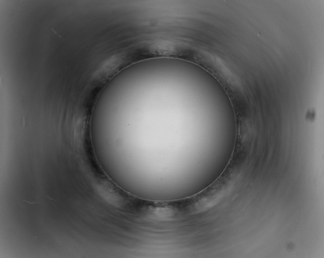 X0000103300645200808291406