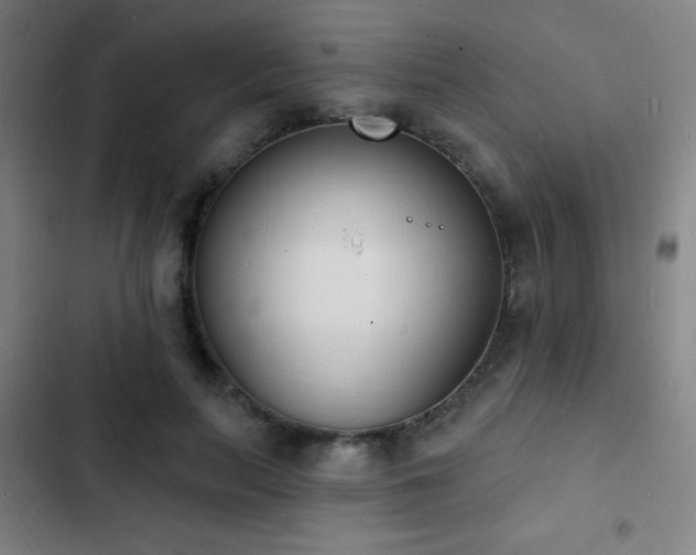 X0000103300647200808291406