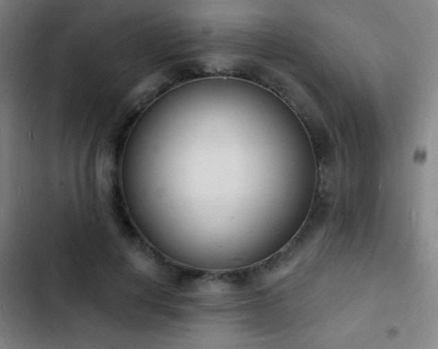 X0000103300648200808291406