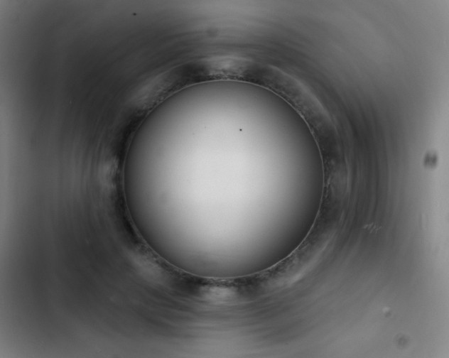 X0000103300649200808291406