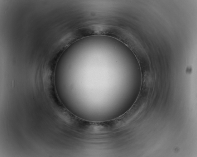 X0000103300650200808291406