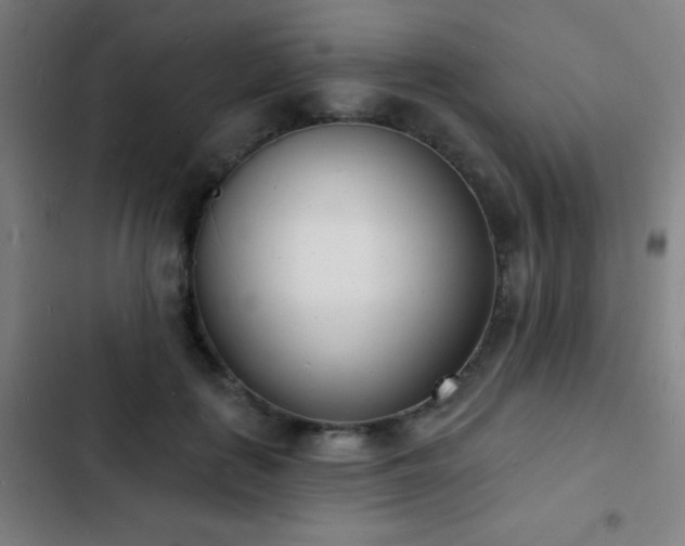 X0000103300651200808291406