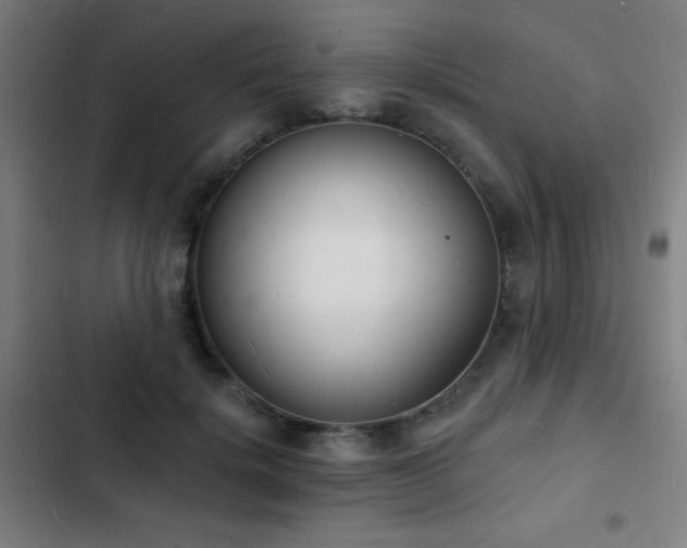 X0000103300652200808291406