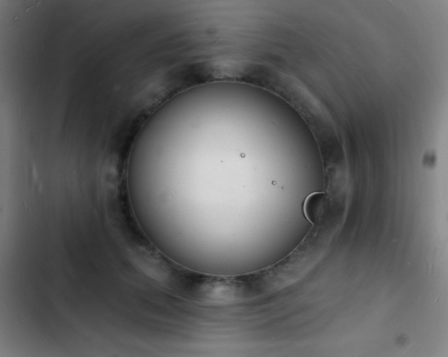 X0000103300655200808291406