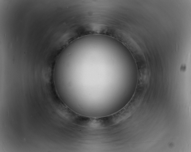 X0000103300656200808291406