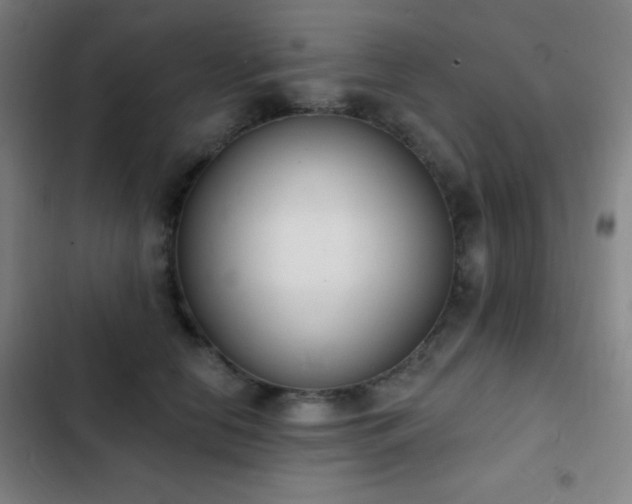 X0000103300658200808291406