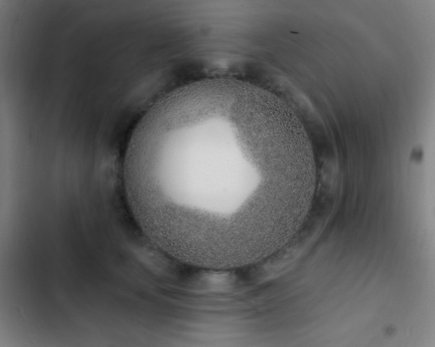X0000103300659200808291406