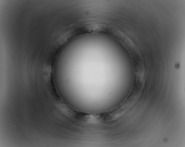 X0000103300660200808291406
