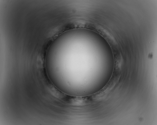 X0000103300661200808291406