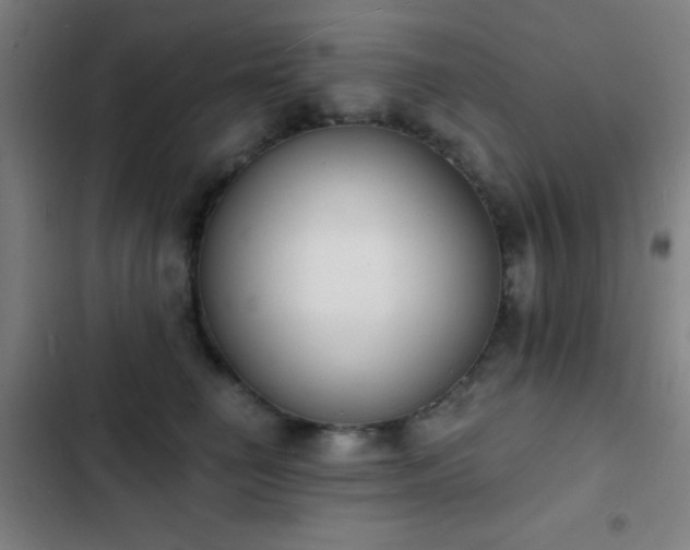 X0000103300662200808291406