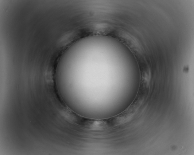 X0000103300663200808291406