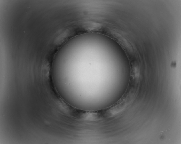 X0000103300664200808291406