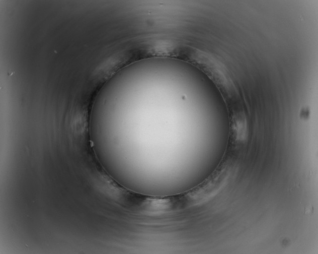 X0000103300665200808291406