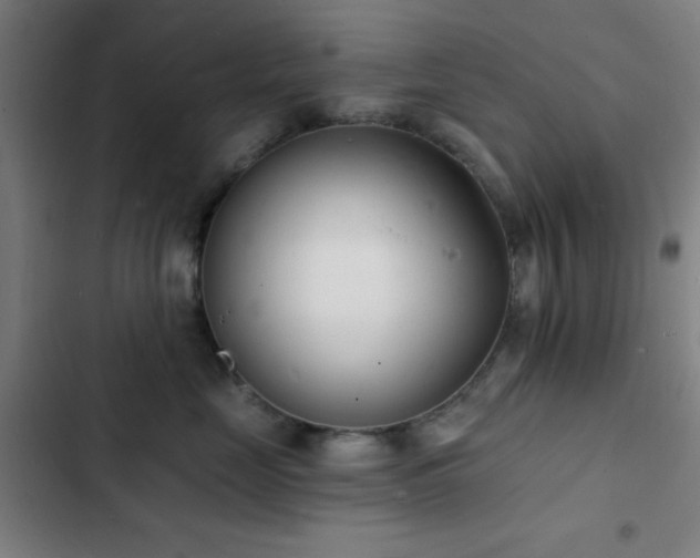 X0000103300669200808291407