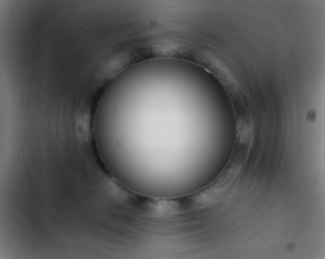 X0000103300670200808291407
