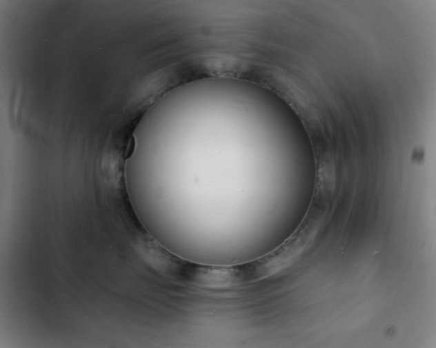 X0000103300671200808291407