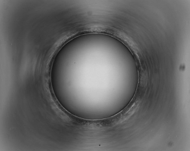 X0000103300673200808291406