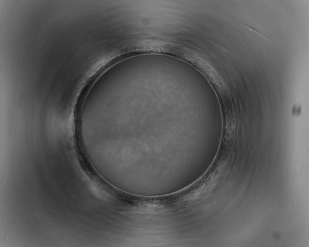 X0000103300674200808291406