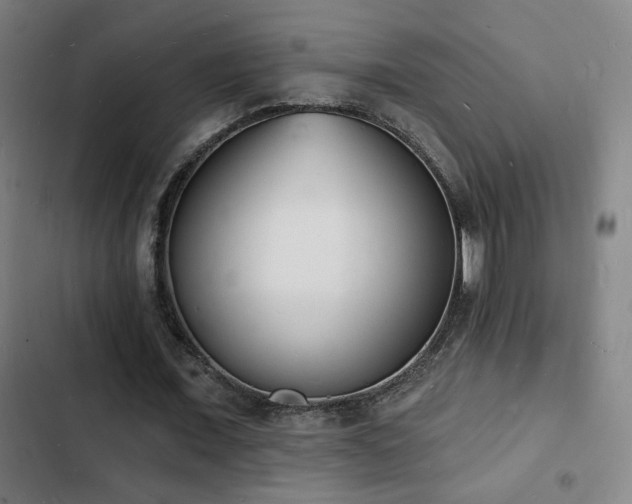 X0000103300675200808291406