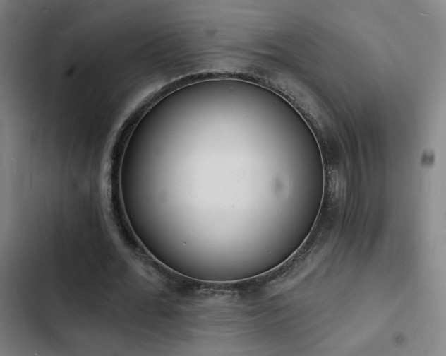 X0000103300676200808291406
