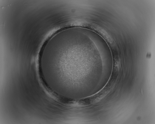 X0000103300678200808291406