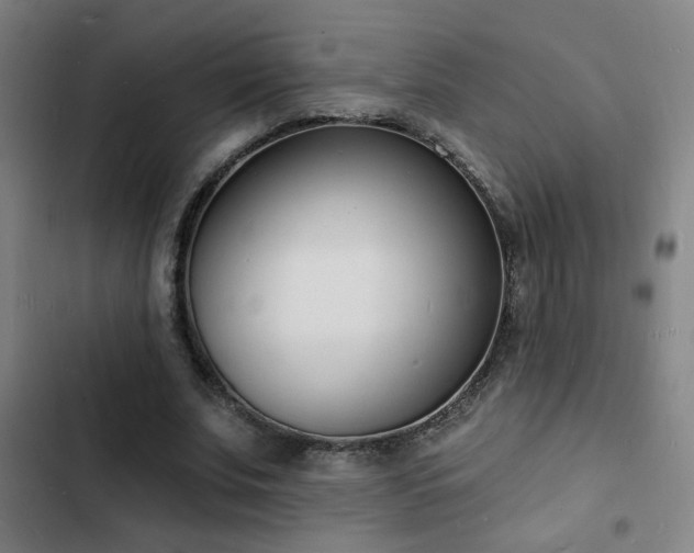 X0000103300679200808291406