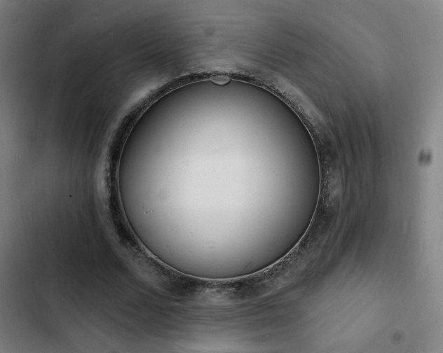 X0000103300680200808291406
