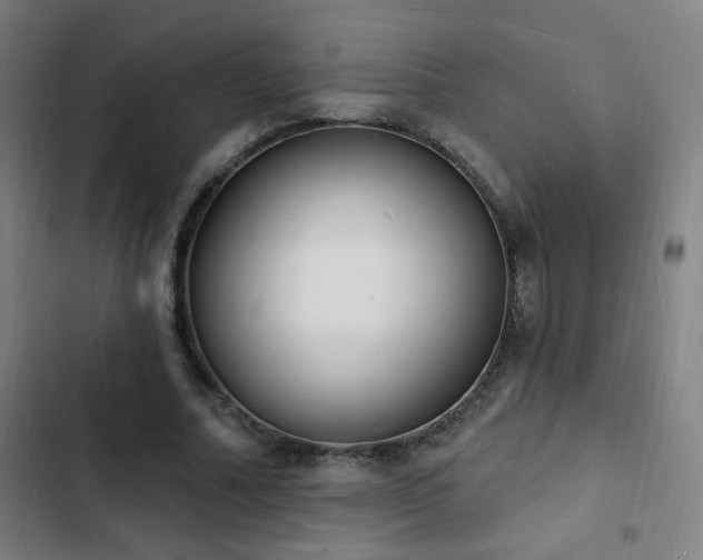 X0000103300682200808291406