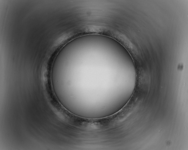 X0000103300683200808291406