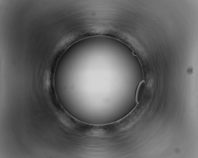 X0000103300685200808291406