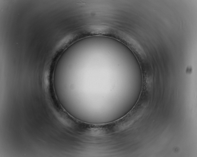 X0000103300686200808291406