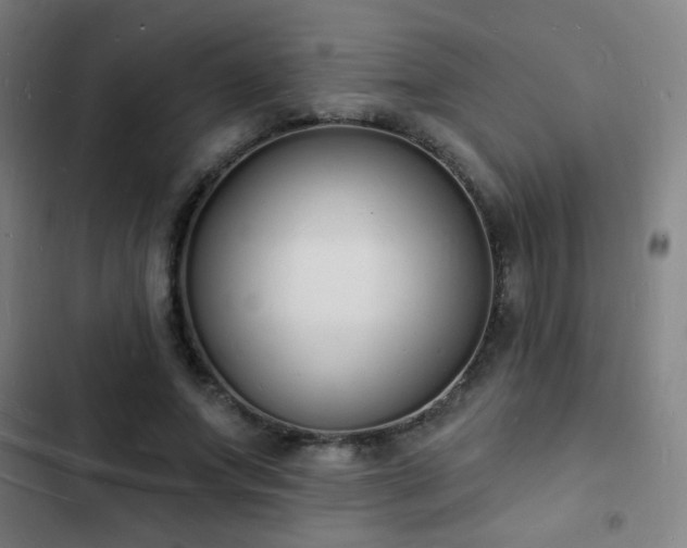 X0000103300687200808291406