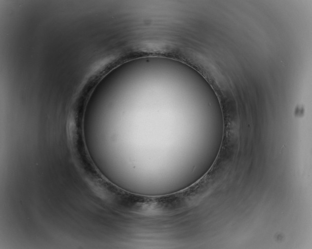 X0000103300688200808291406
