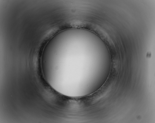 X0000103300690200808291406