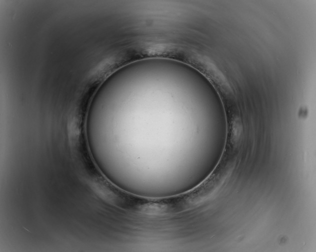 X0000103300691200808291406