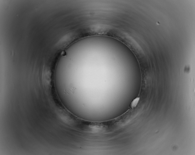 X0000103300693200808291406