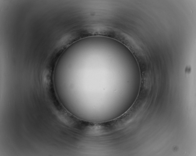 X0000103300695200808291406