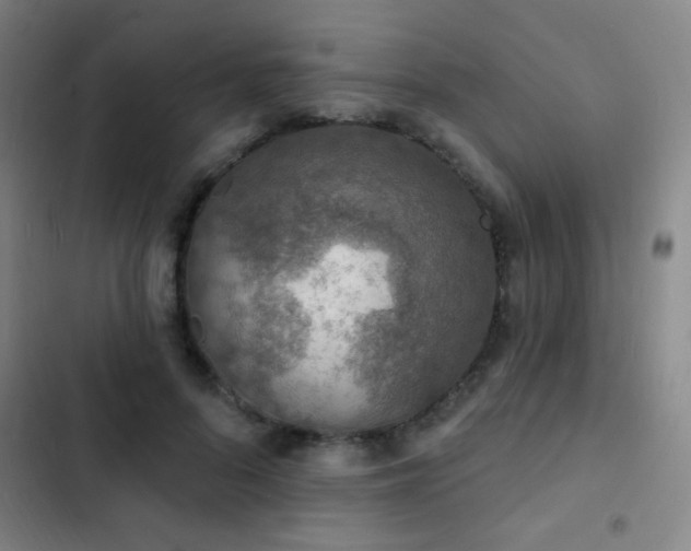 X0000103300696200808291406