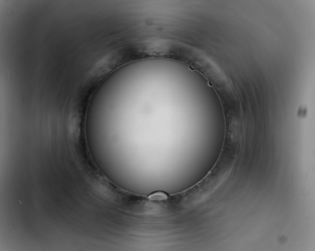 X0000103300697200808291406
