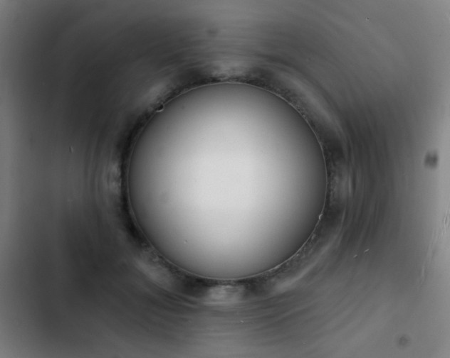 X0000103300700200808291405