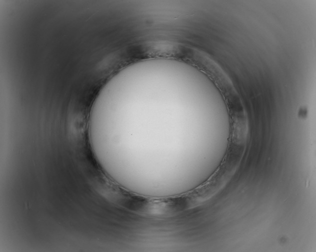 X0000103300701200808291405
