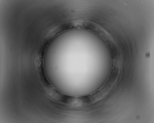 X0000103300702200808291405
