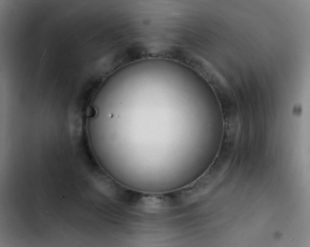 X0000103300703200808291405
