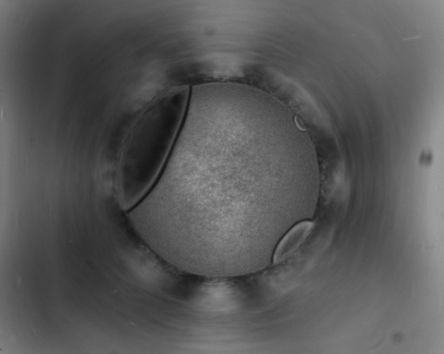 X0000103300704200808291405
