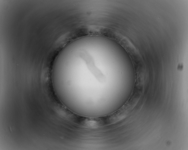 X0000103300706200808291405