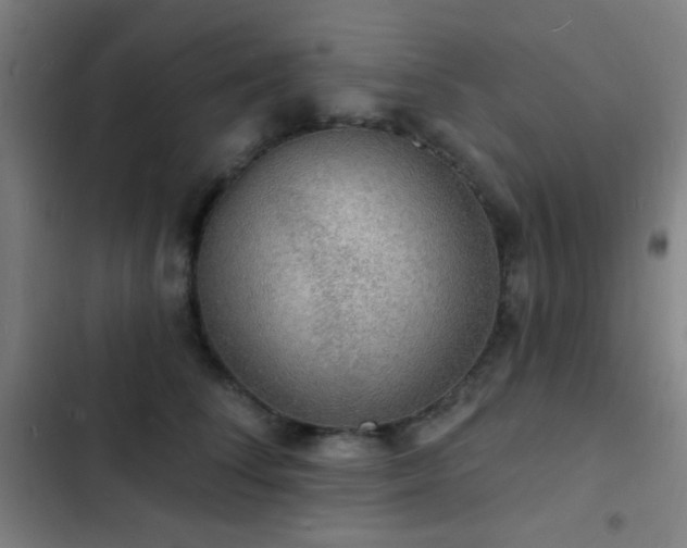 X0000103300708200808291405