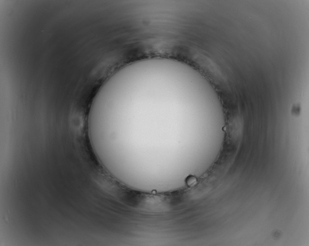 X0000103300709200808291405