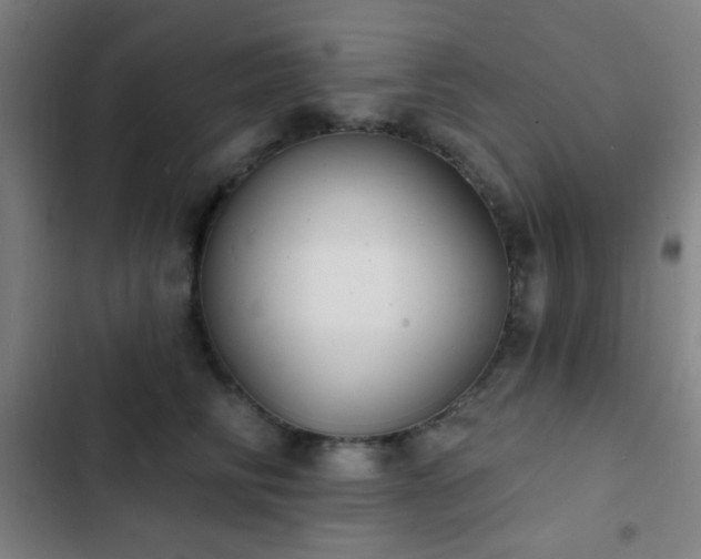 X0000103300710200808291405