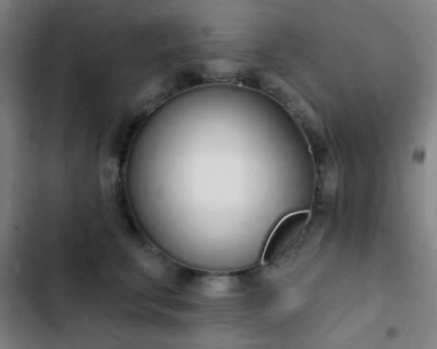 X0000103300711200808291405