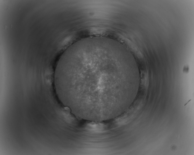 X0000103300712200808291405